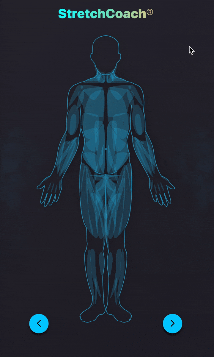 Click on muscle in Stretchcoach app